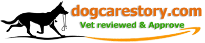 Dog Care Story