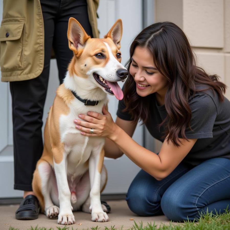 Adopting a Hypoallergenic Mixed Breed Dog