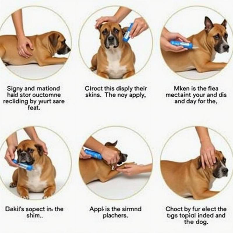 Applying Topical Flea Medication to a Dog