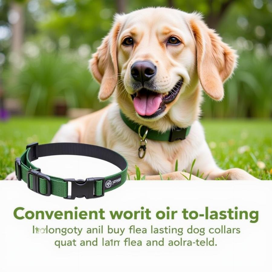 Dog Wearing a Flea and Tick Collar for Protection