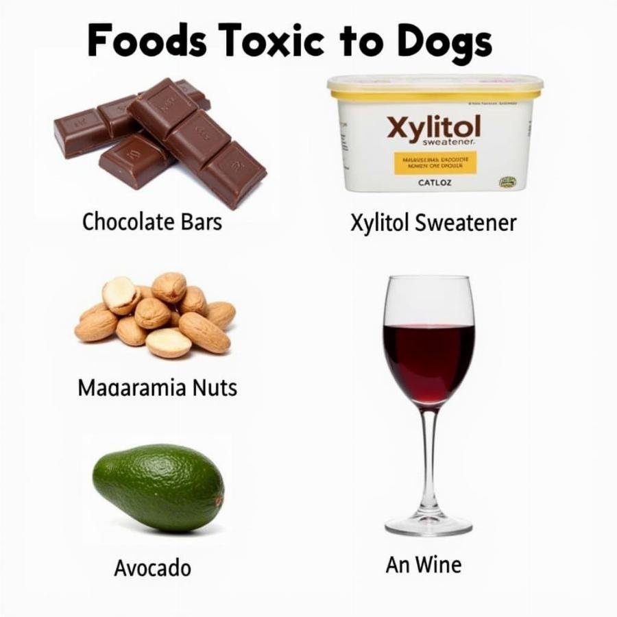 Foods Dogs Should Avoid: A Visual Guide