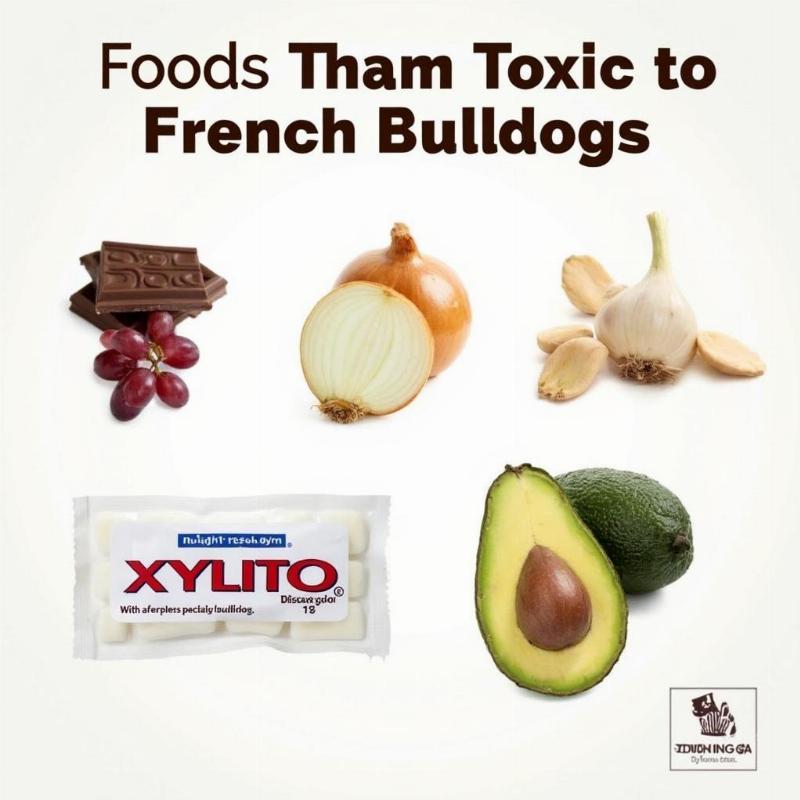 Toxic Foods for French Bulldogs: Chocolate, Grapes, Onions, and Xylitol