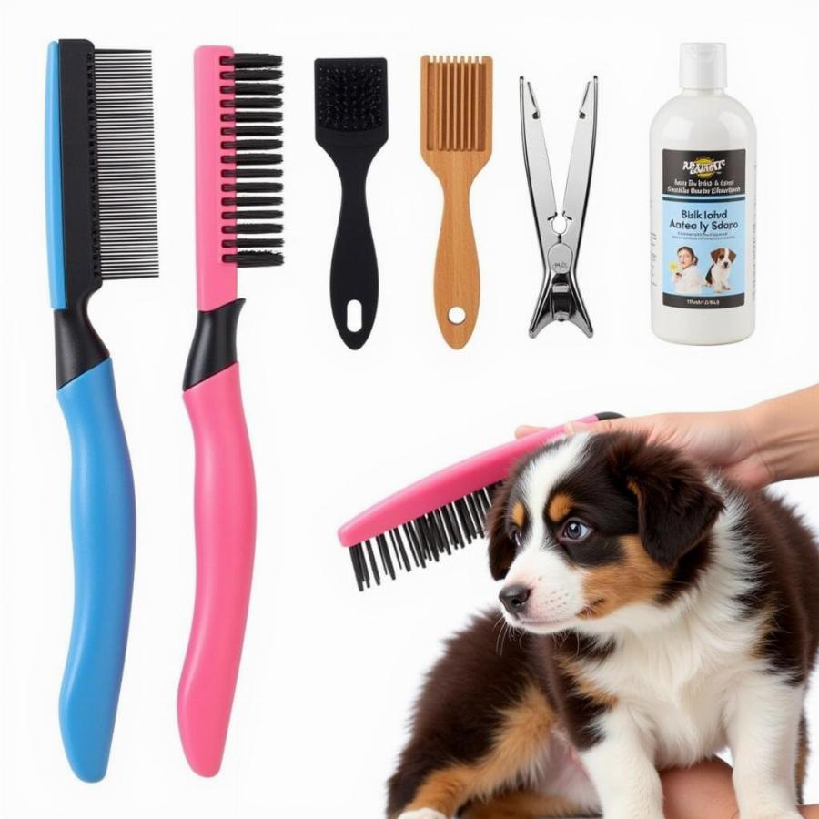 Grooming Essentials for Your Border Collie Puppy