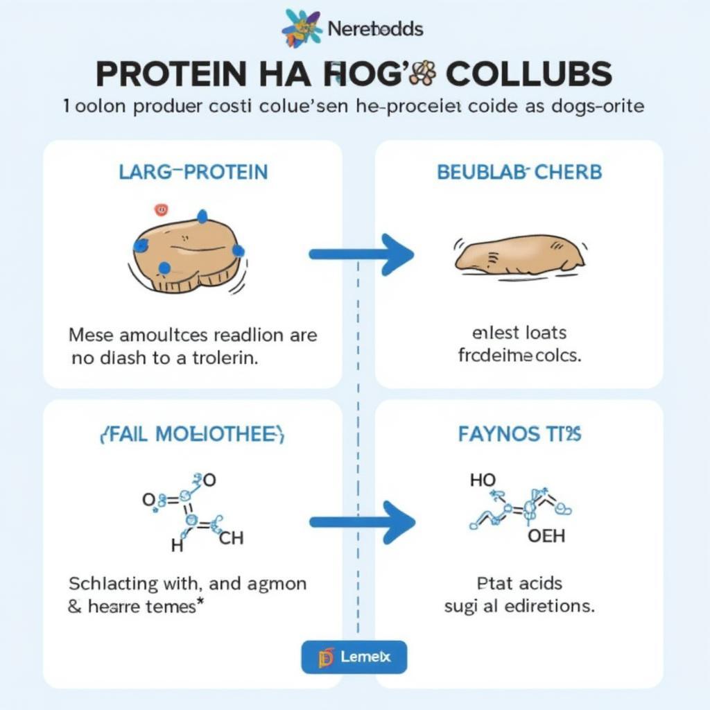 Hydrolyzed Protein Illustration