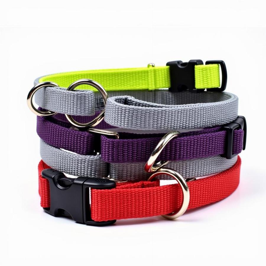 Durable Nylon Dog Collars in Bulk for Everyday Use