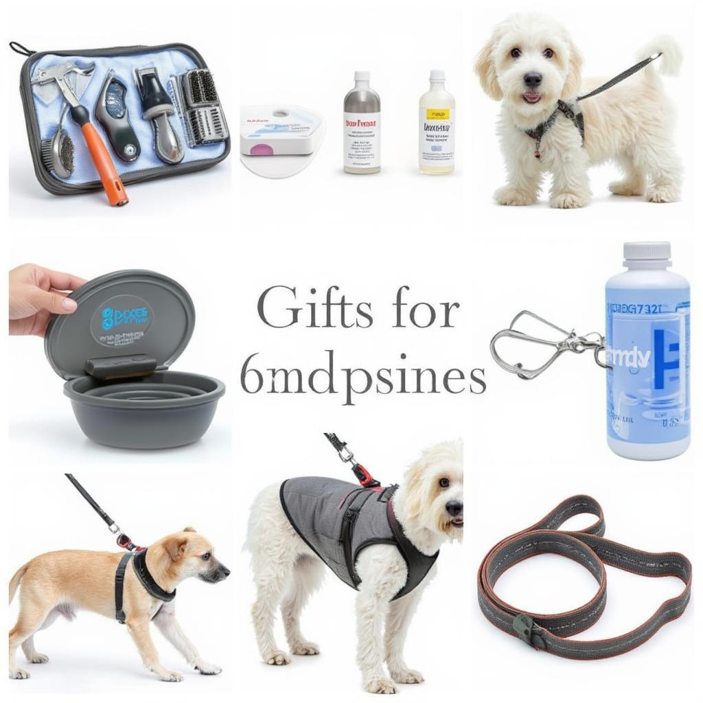 Practical Dog Owner Gifts: Grooming Kits and Travel Bowls