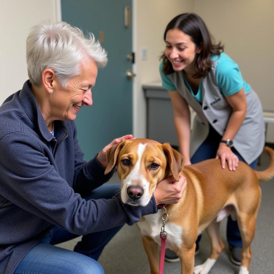 A senior woman adopting a senior dog at an animal shelter.