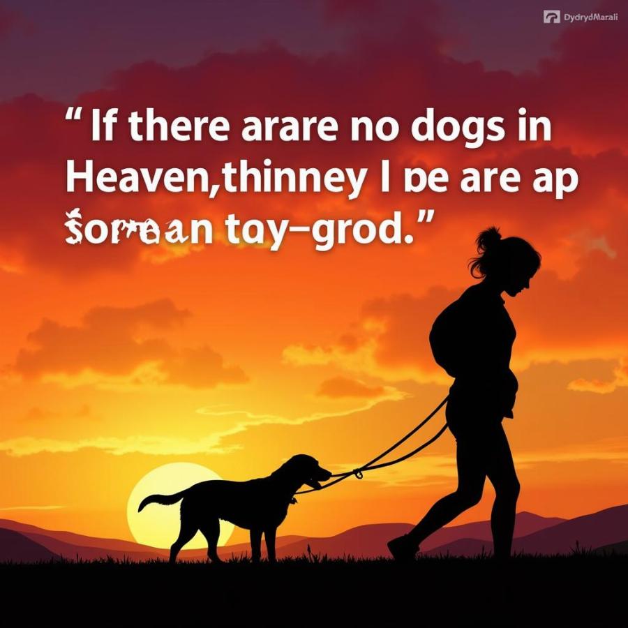 Woman Walking Dog Silhouette at Sunset with Inspirational Quote