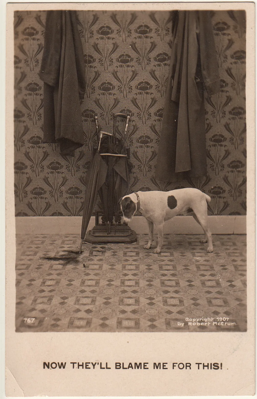 1907 comic postcard of a dog worrying about blame for an indoor puddle, illustrating common dog house training challenges