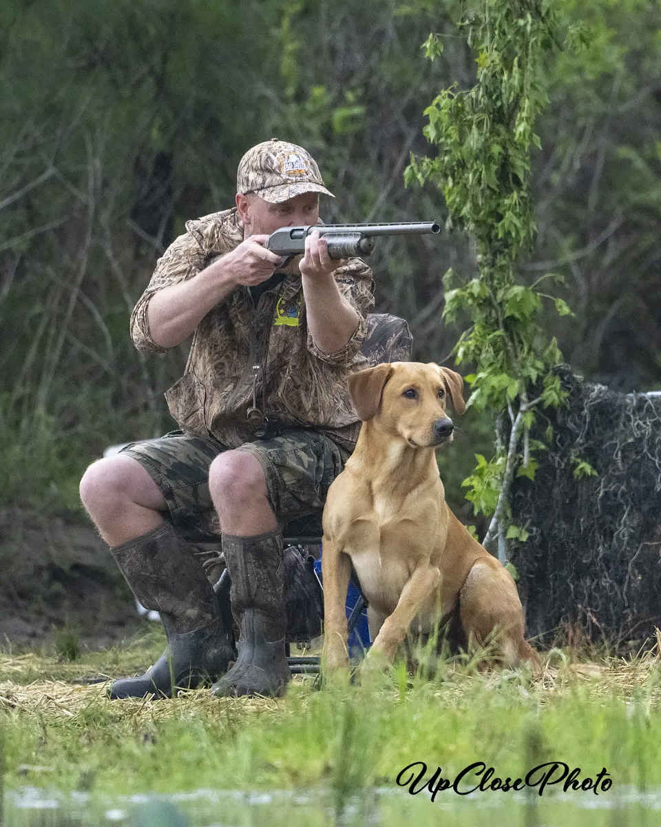 5xGRHRCH UHCH Flight 27's Cancelled He's Too Icy MH HOF, a yellow Labrador Retriever stud from Sandusky, OH