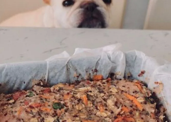 A baking dish containing a turkey and oatmeal bake for dogs, with visible peas and zucchini.