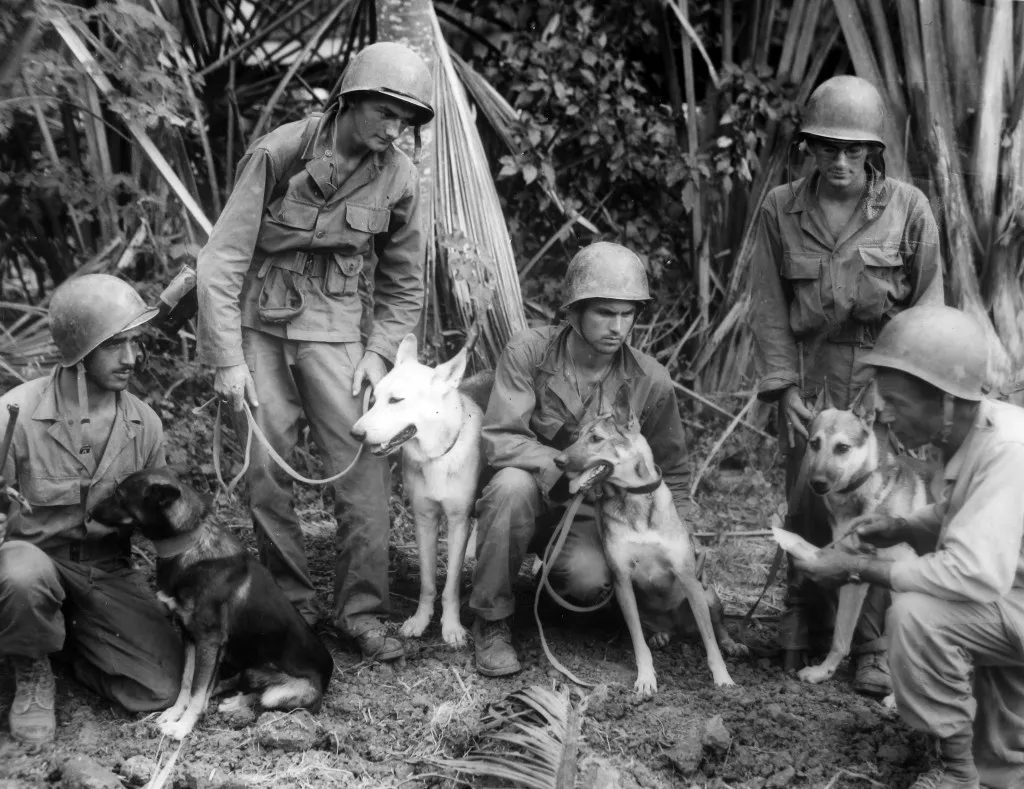 A black and white photograph shows a man in uniform and a dog standing in a field. The man is holding a rifle and the dog is standing alert.