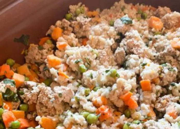 A bowl of homemade dog food with flaked whitefish, mashed carrots, and brown rice, garnished with fish oil.
