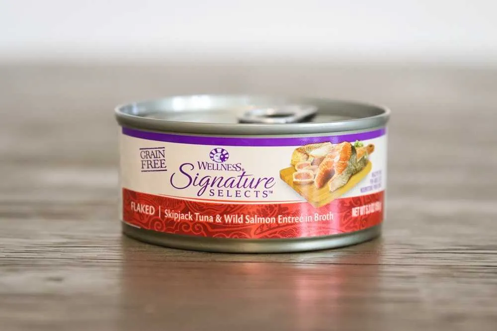 A bowl of Wellness Signature Selects Flaked Skipjack Tuna &amp; Wild Salmon Entree in Broth, showing distinct flakes in broth