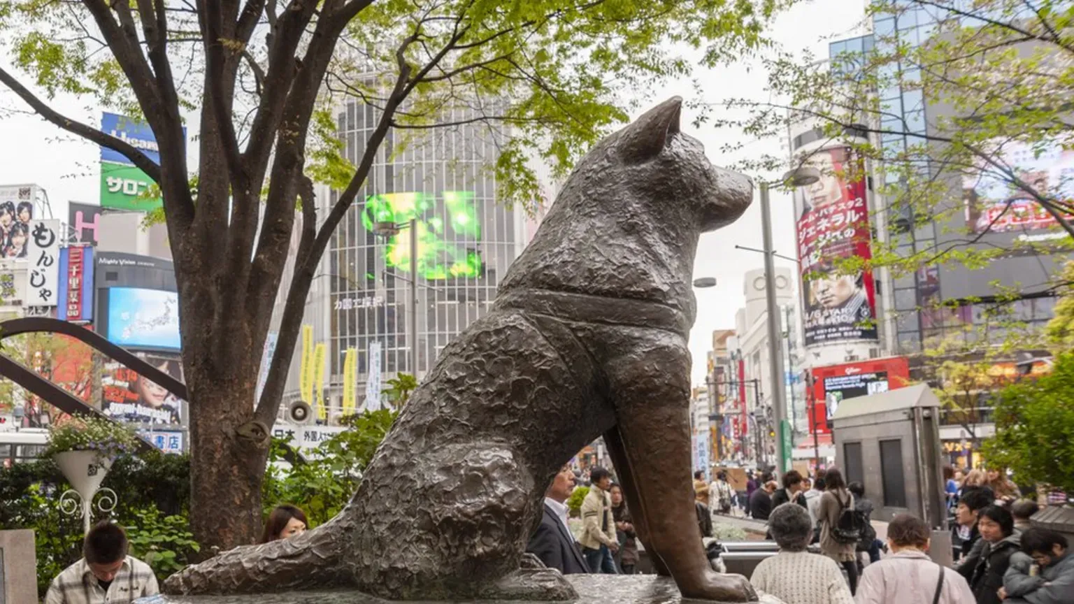 A bronze statue of Hachiko stands prominently outside Shibuya station in Tokyo, a popular landmark.