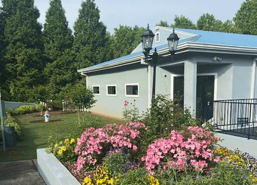 A caring owner gently petting a dog, symbolizing the bond and dedication to pet care.