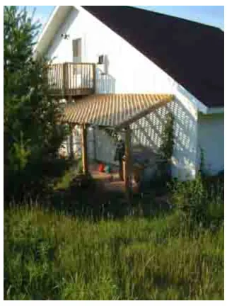 A chain link kennel with a lattice roof, showing vines beginning to grow on the sides.