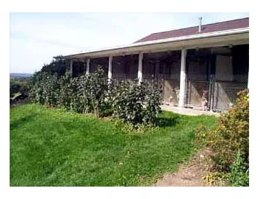 A chain link kennel with an attached outdoor dog house.