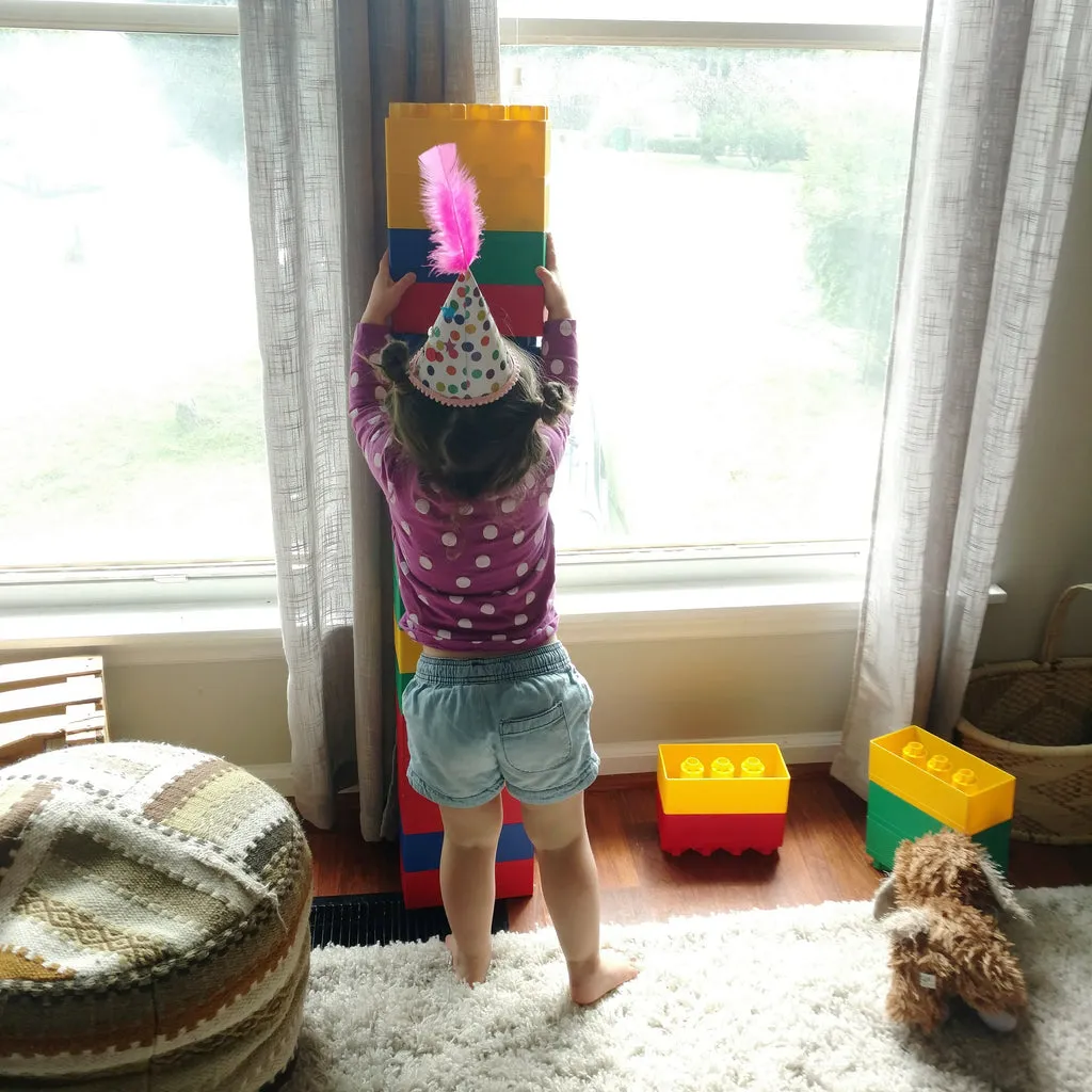 A child playing with a brown stuffed dog and a wooden barn toy, creating a dog house scenario during a "Go, Dog. Go! Full Book" themed playdate.