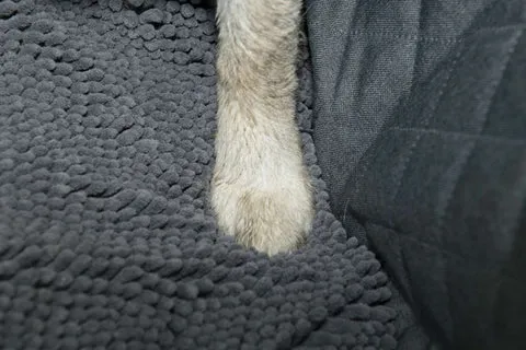 A close-up of a dog resting comfortably on a car seat cover, showcasing its plush texture and the paw print design.