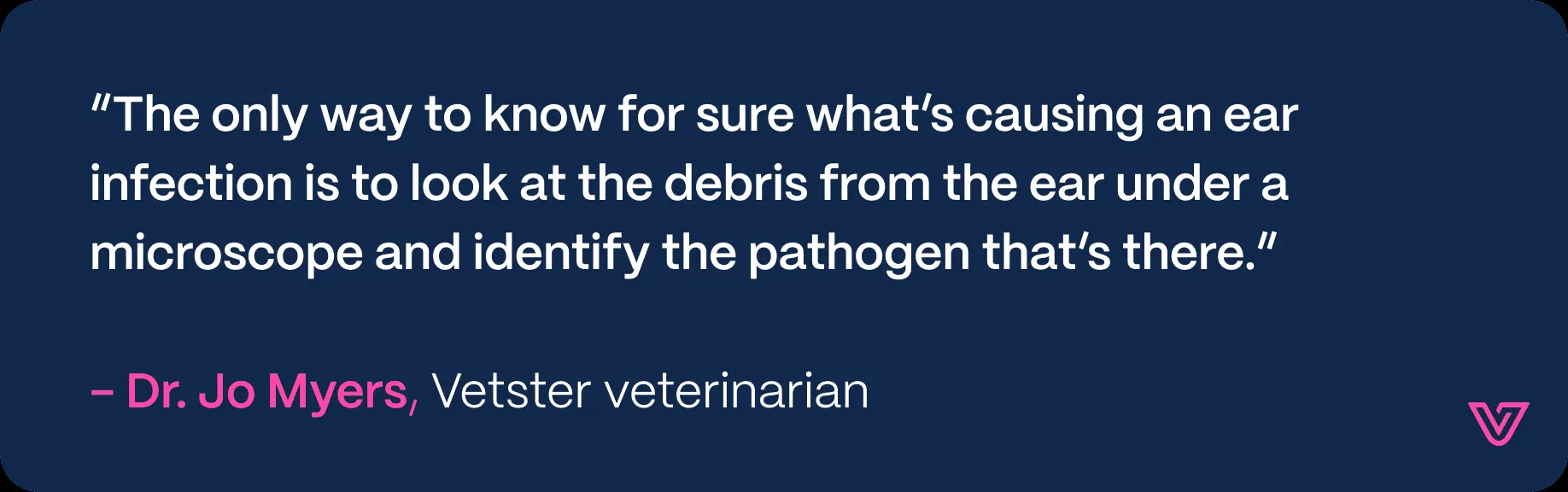 A close-up of a dog's ear, showing a slightly inflamed canal with a dark, waxy buildup.