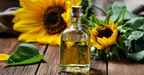 A close-up of a dog's healthy skin