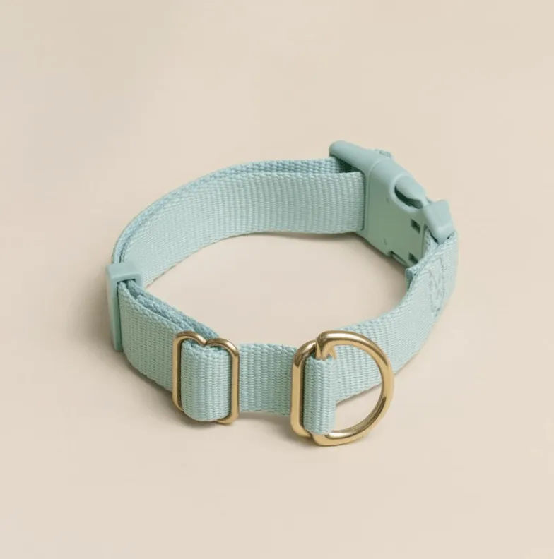 A close-up of an Awoo dog collar