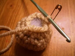 A close-up shot of a Yorkshire Terrier puppy's head, emphasizing its small size and delicate features, often associated with teacup Yorkies.