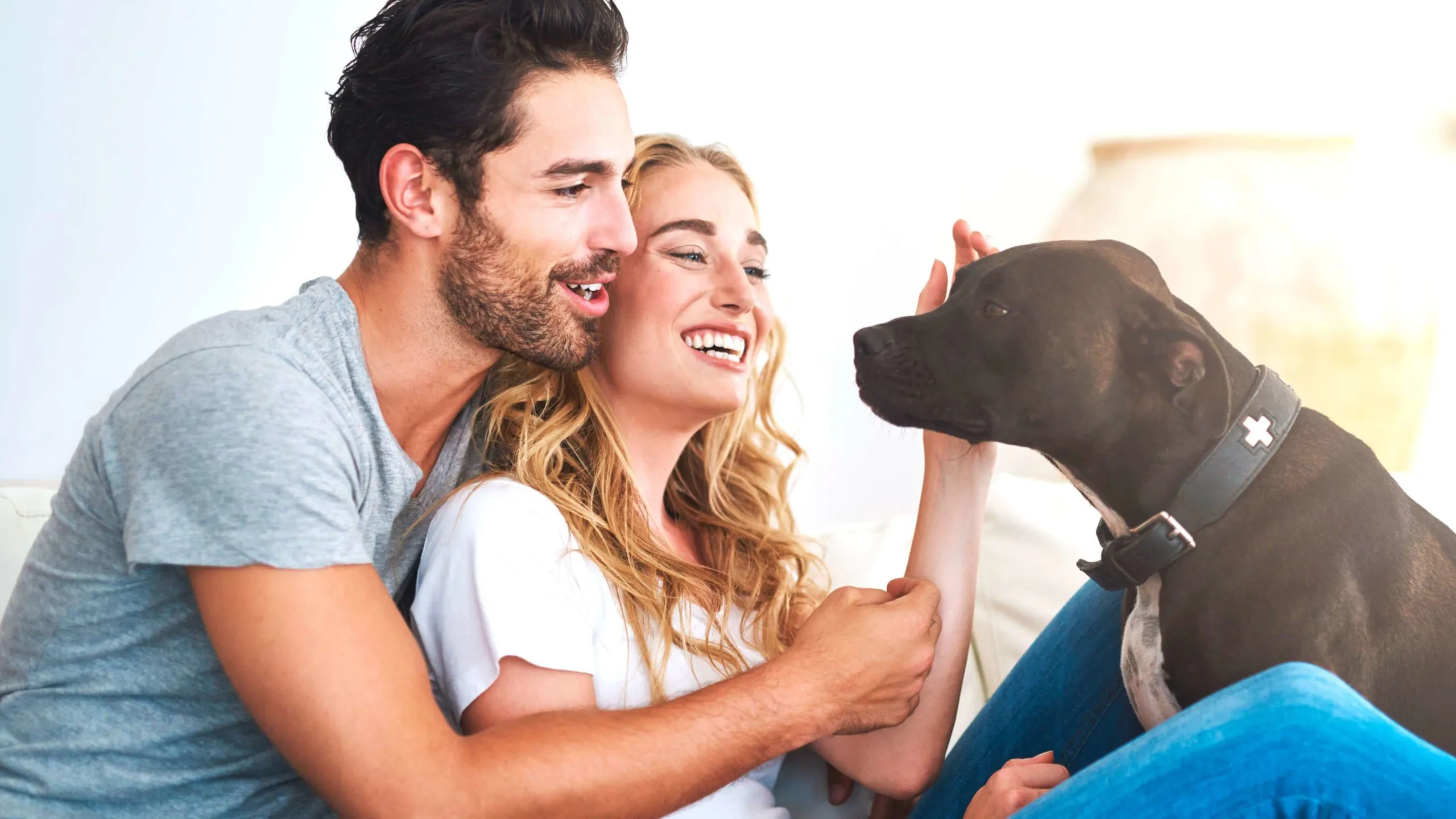 A close-up shot of different kibble shapes and sizes of Advance dog food, showcasing the variety available for different breeds and sizes.