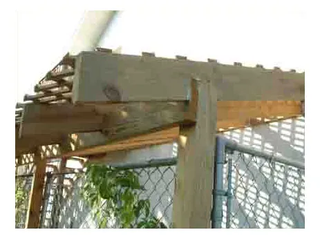 A close-up view of how rafters are joined and lattice is attached to a chain link kennel.