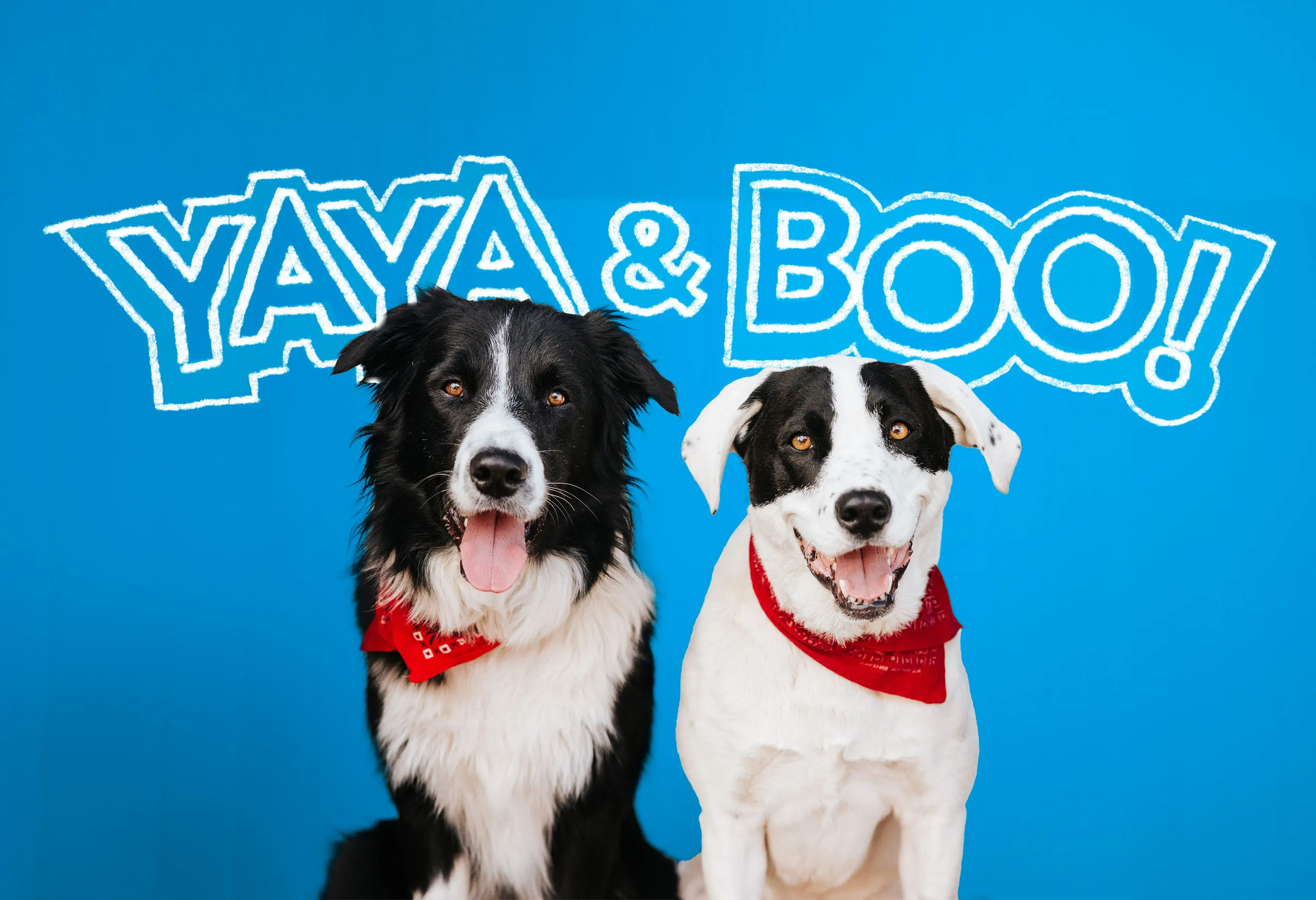 A collage showcasing various animation styles, posing questions about the visual direction for the upcoming Yaya and Boo children's show.