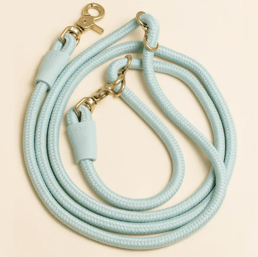 A collection of Awoo collars and leashes