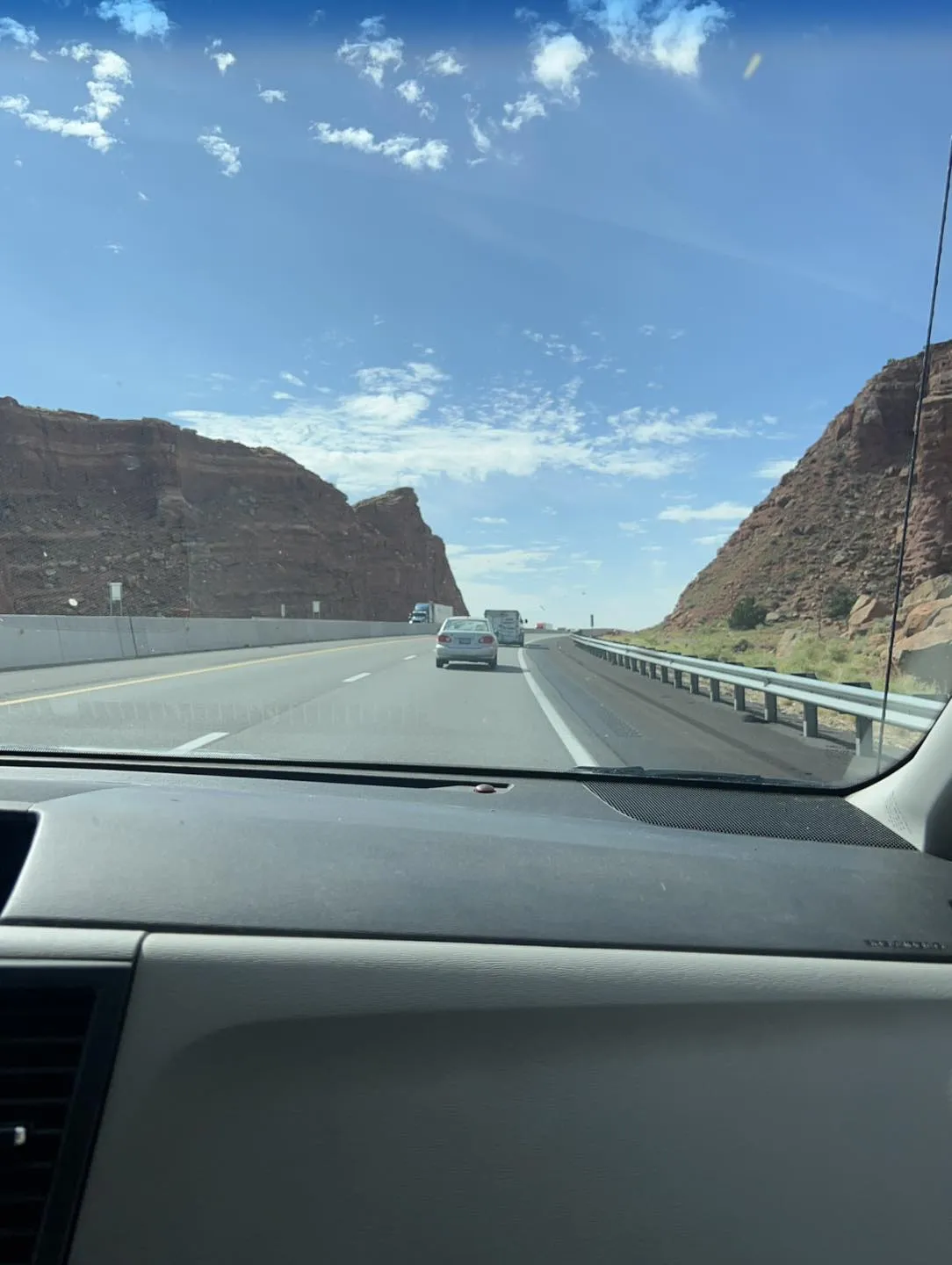 A collection of dogs in an enclosed area, representing the variety of older dogs available for sale near you in a rescue setting.