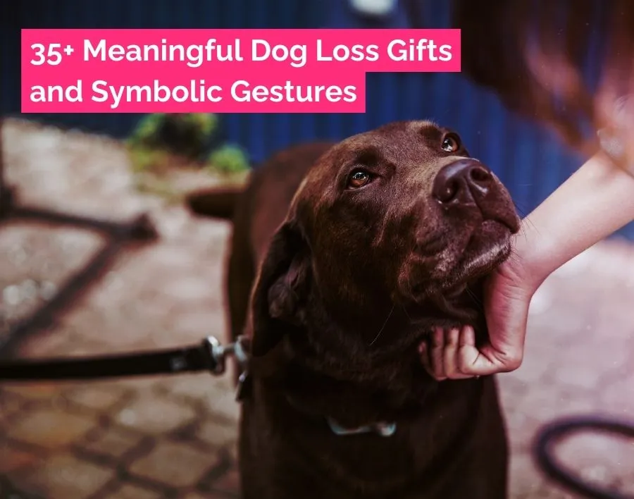 A collection of meaningful dog loss gifts displayed with sympathy cards and flowers, designed to express love and support