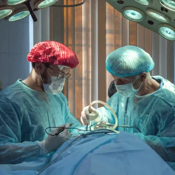 a comfortable pet bed, indicating hospitalization services at an animal ER