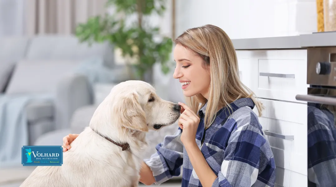 A comforting image of a dog, representing the care and attention needed to prevent tick bites and Lyme disease