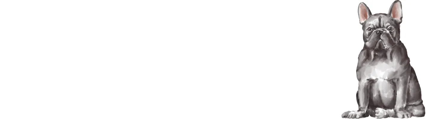 A comprehensive guide to French Bulldog home accessories for UK owners