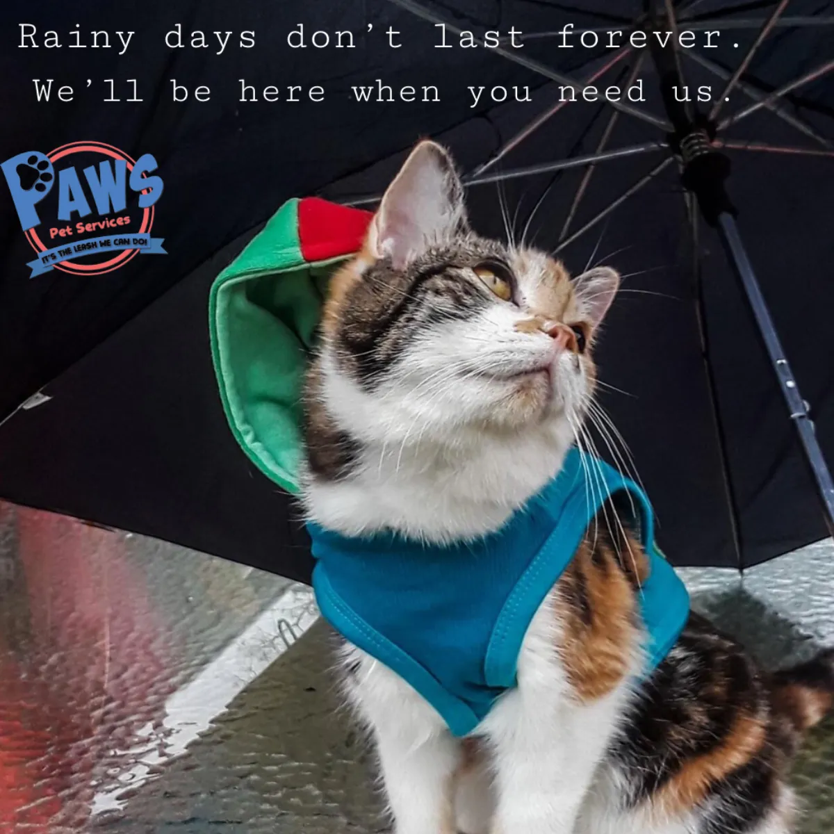 A cozy dog tucked under a blanket, cared for by professional paws pet services