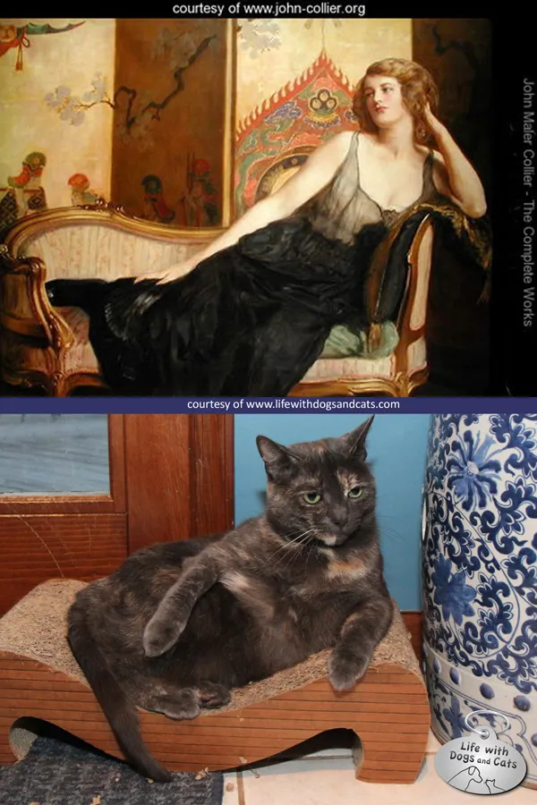 A curious cat mimicking an odalisque pose on a textured blanket, reminiscent of classic art.