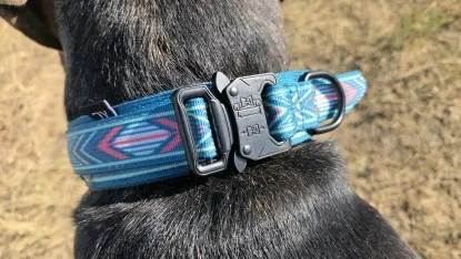A Daganxi Tactical Nylon dog collar, showcasing its heavy-duty metal side-lock buckles for secure fastening.