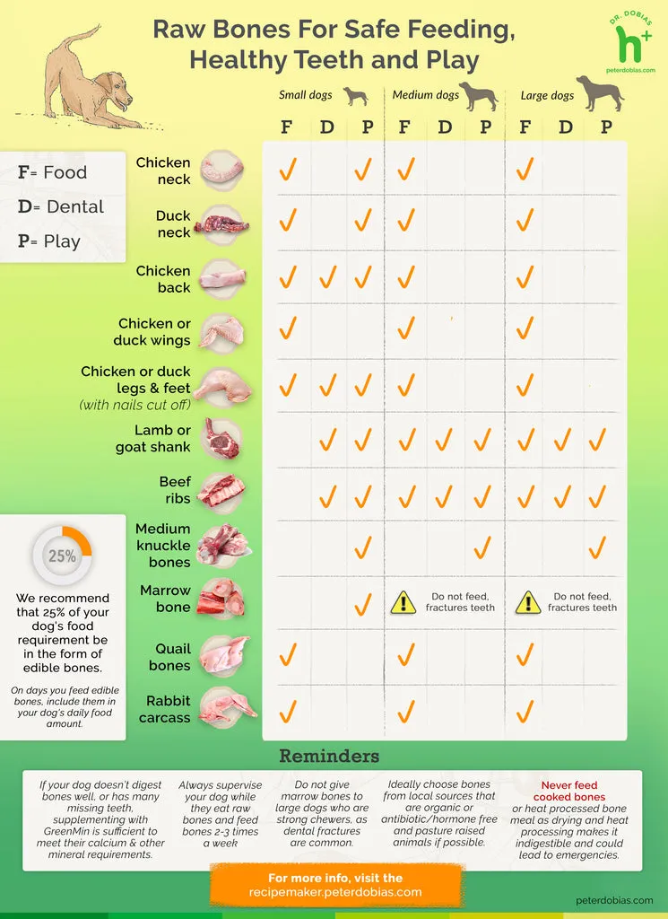 A detailed chart illustrating safe and unsafe raw bones for dogs based on size, density, and suitability for various canine breeds and chewing habits
