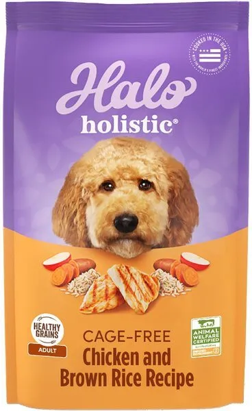 A dog eagerly looking at a bowl of Halo Holistic dog food
