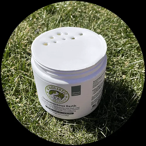 A dog enjoying its food, with a sprinkle of Diatomaceous Earth on top.