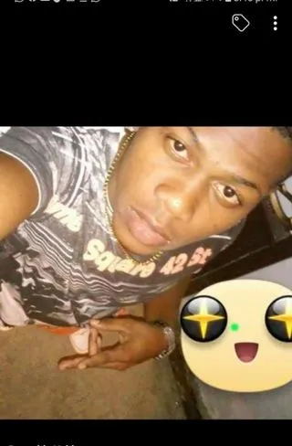 A dog enjoying playtime in a backyard