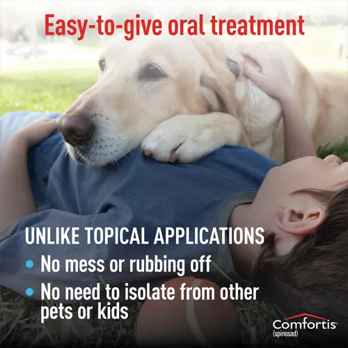 A dog happily consuming a Comfortis oral flea treatment tablet, demonstrating easy administration.