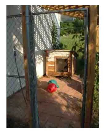 A dog house with its siding torn off by a bored dog.