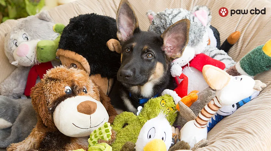 A dog laying down on a dog bed with a lot of various stuffed animal toys around it
