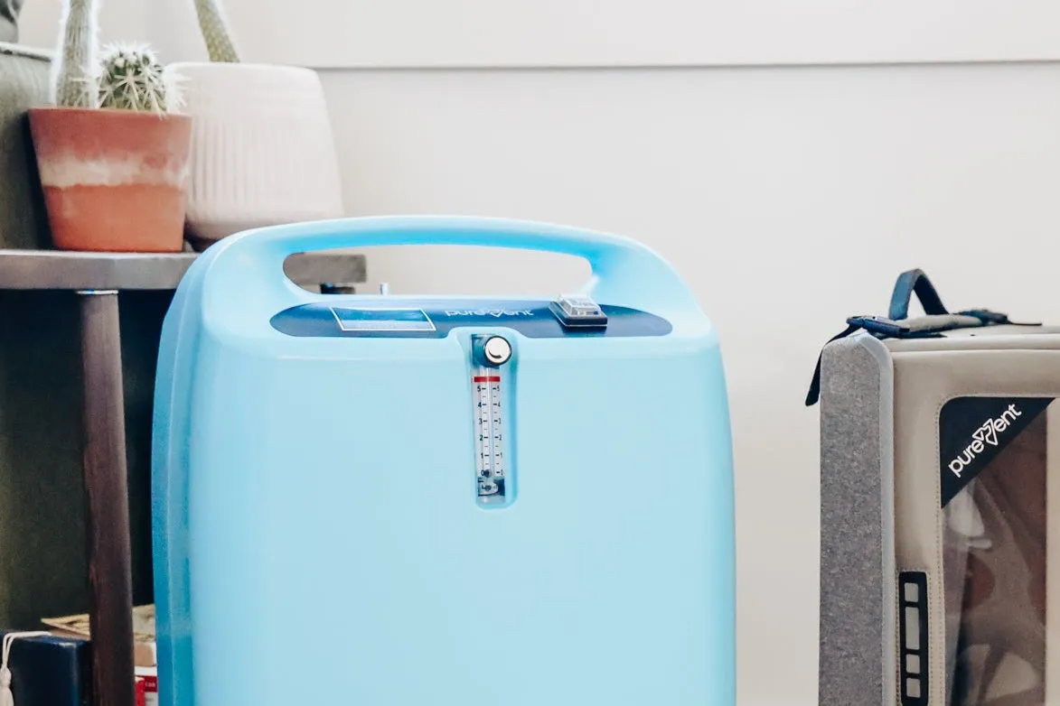 A dog resting comfortably on a cooling mat.
