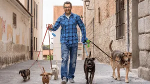 A dog sitter giving medication to a dog