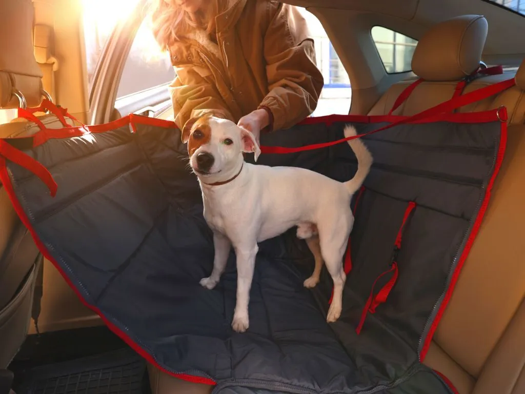 A dog sitting on a protective car seat cover.